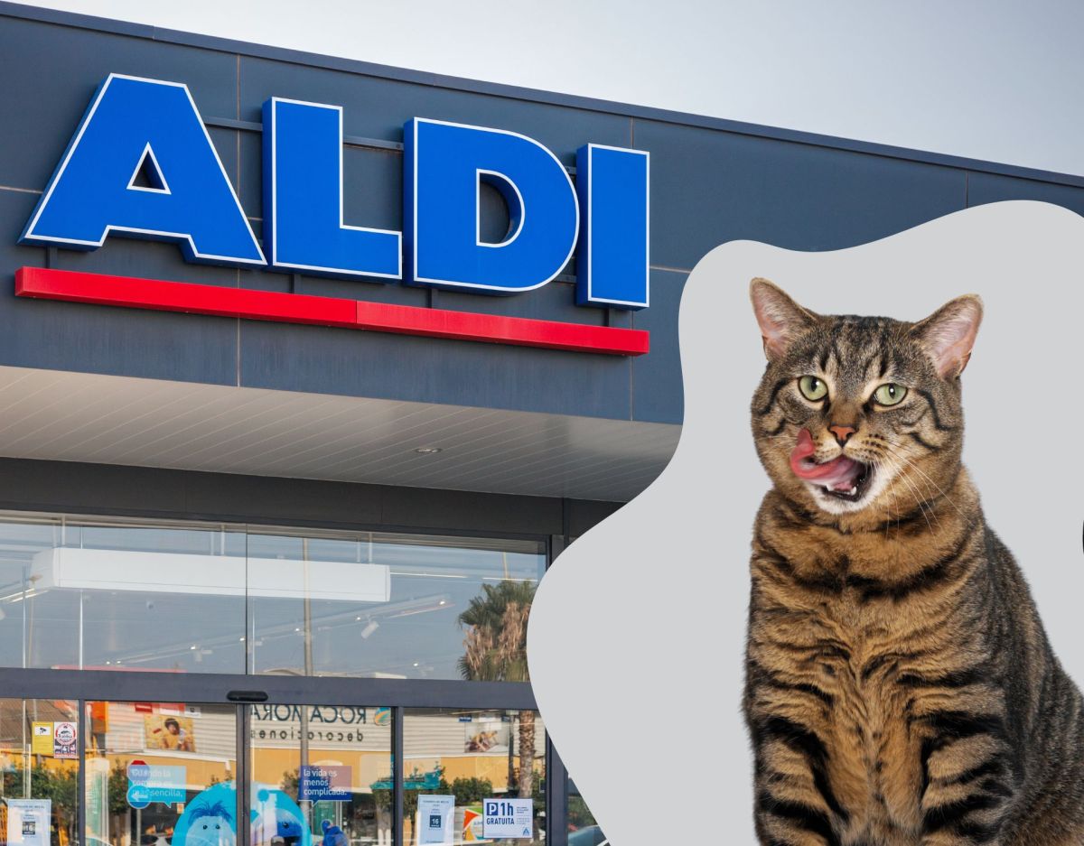 Katze sitzt vor einer Aldi Filiale