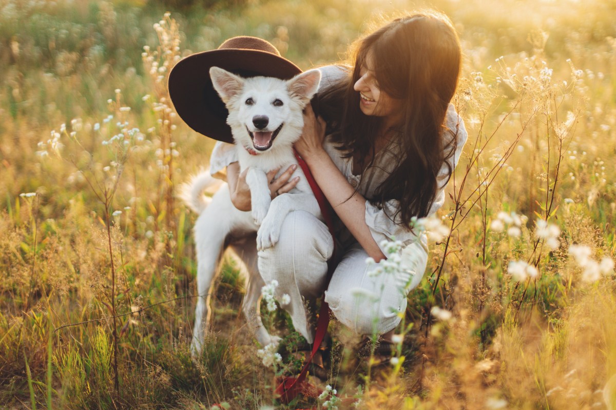 Kurzurlaub mit Hund