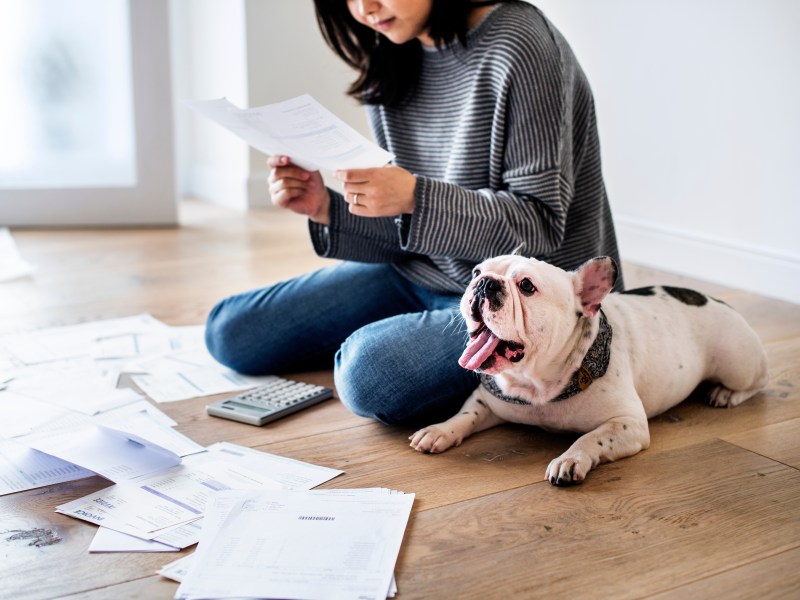 Geld sparen mit Hund