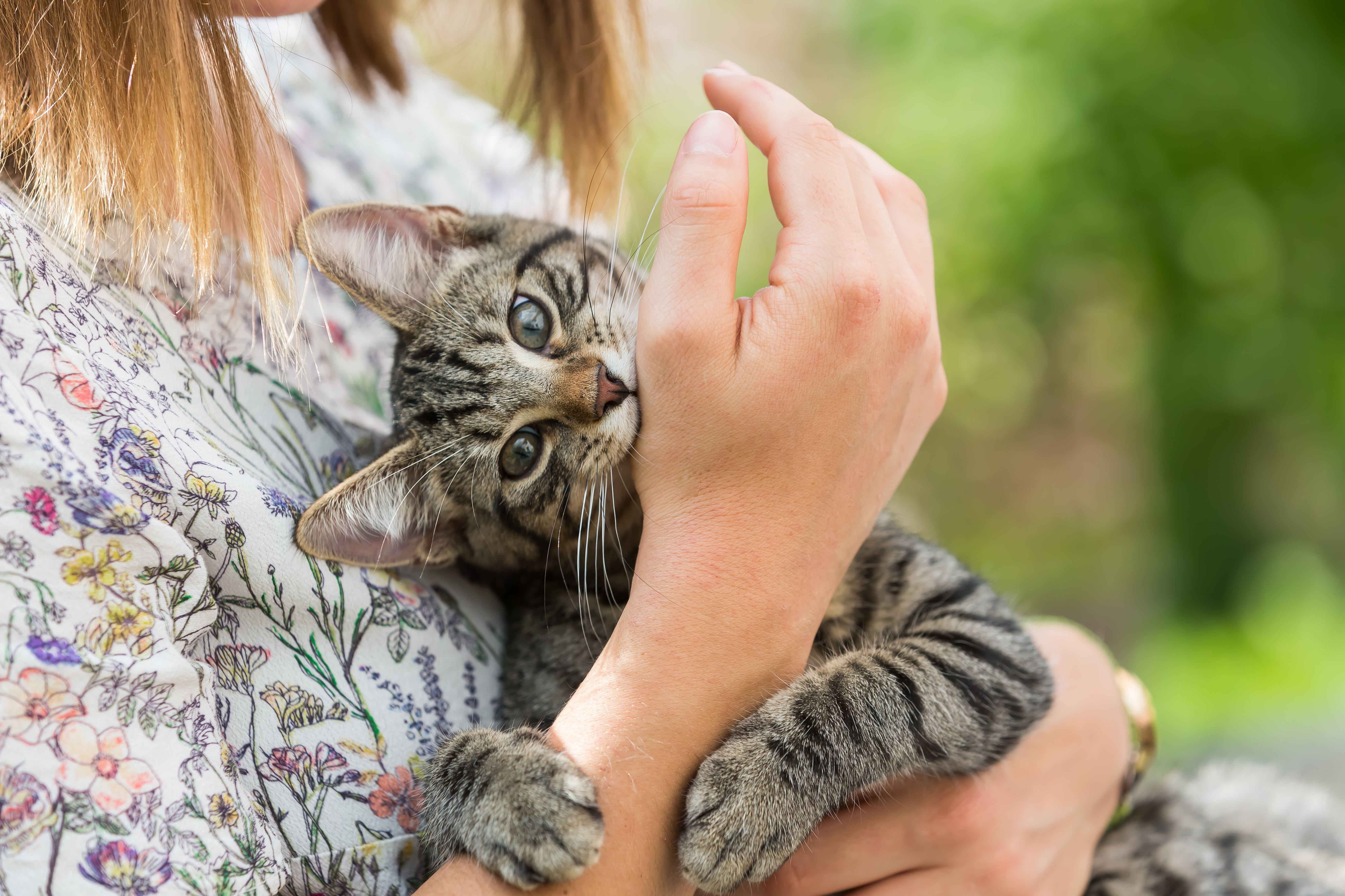 Der-gr-te-Liebesbeweis-deiner-Katze-Diese-niedliche-Geste-zeigt-wie-sehr-sie-dich-liebt