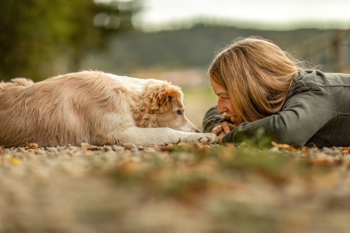 Hunde-Mama