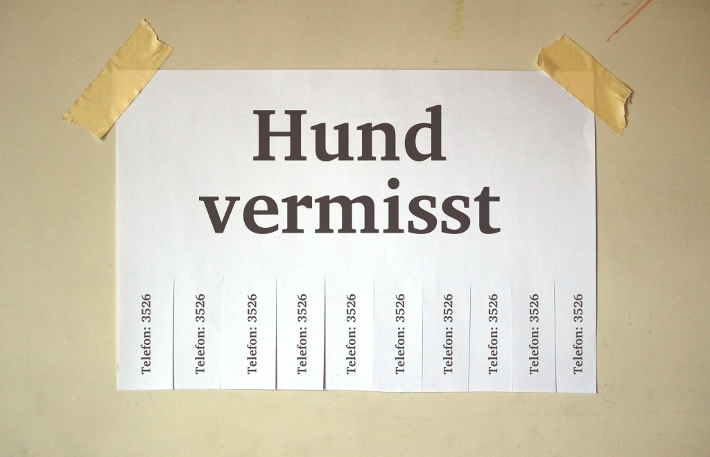 Vermisstenplakat