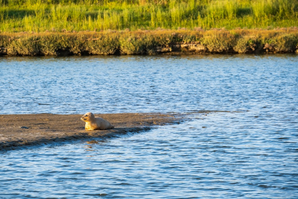 Für die schönste Natur in Deutschland geht es hoch in den Norden.