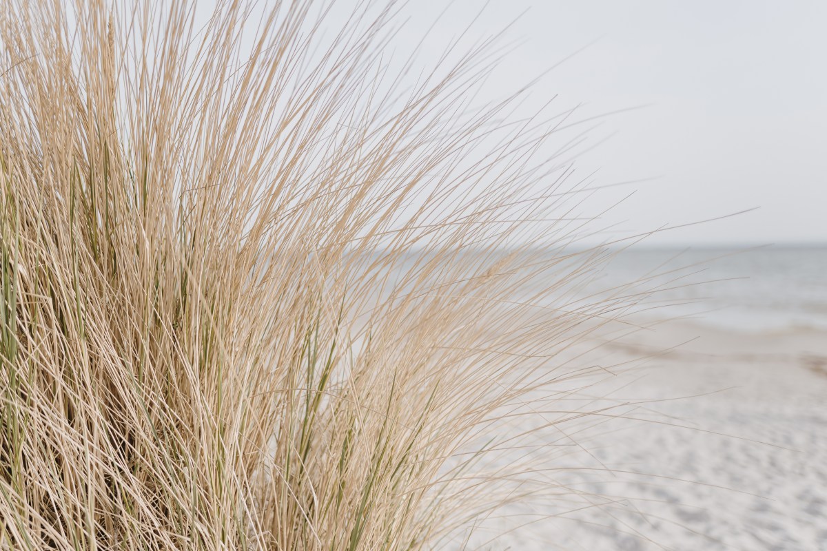 Im Rahmen einer neuen Studie wurde der weißeste Strand der Welt gekürt!