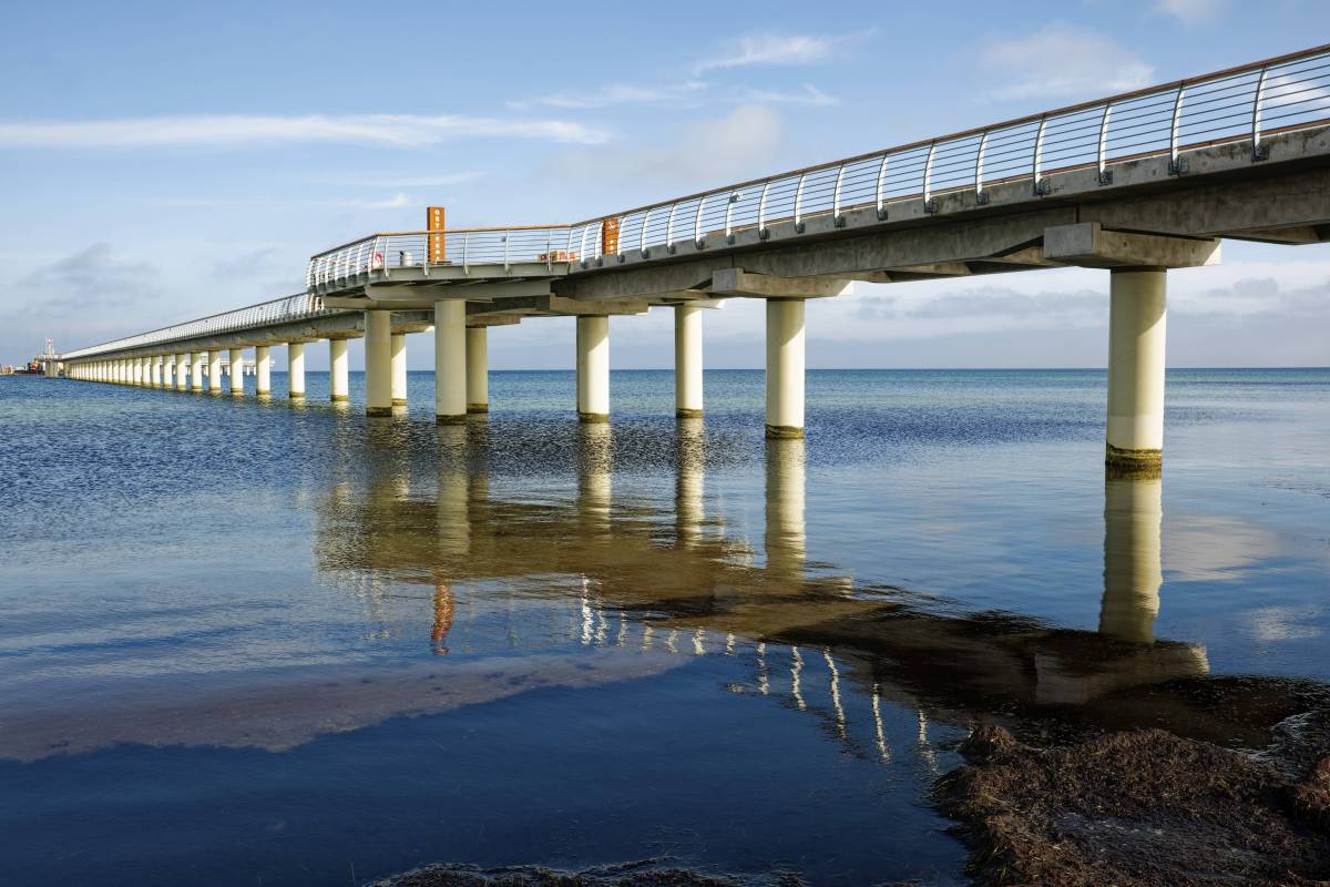 In Prerow: Die längste Seebrücke in der Ostsee hat eröffnet - wmn