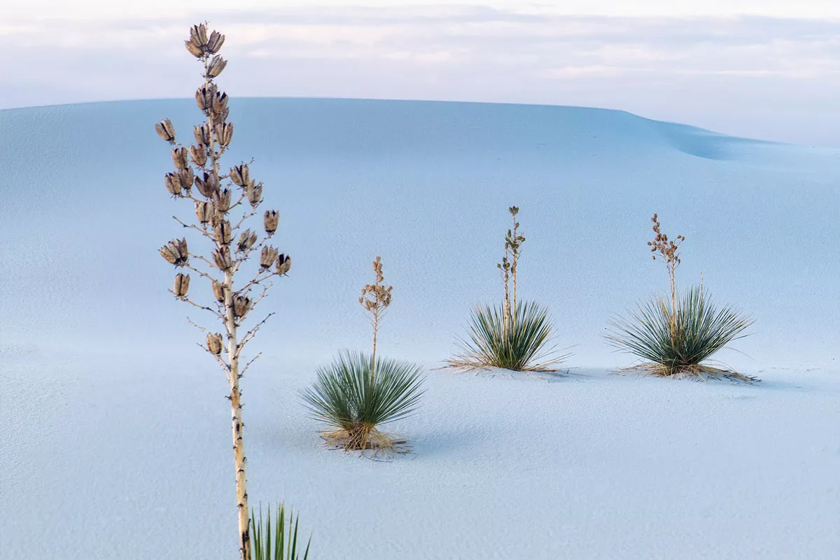 Der White-Sands-Nationalpark in New Mexico.