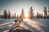 Studie zeigt: An diesen 10 Orten kannst du mit Schnee an Weihnachten rechnen.