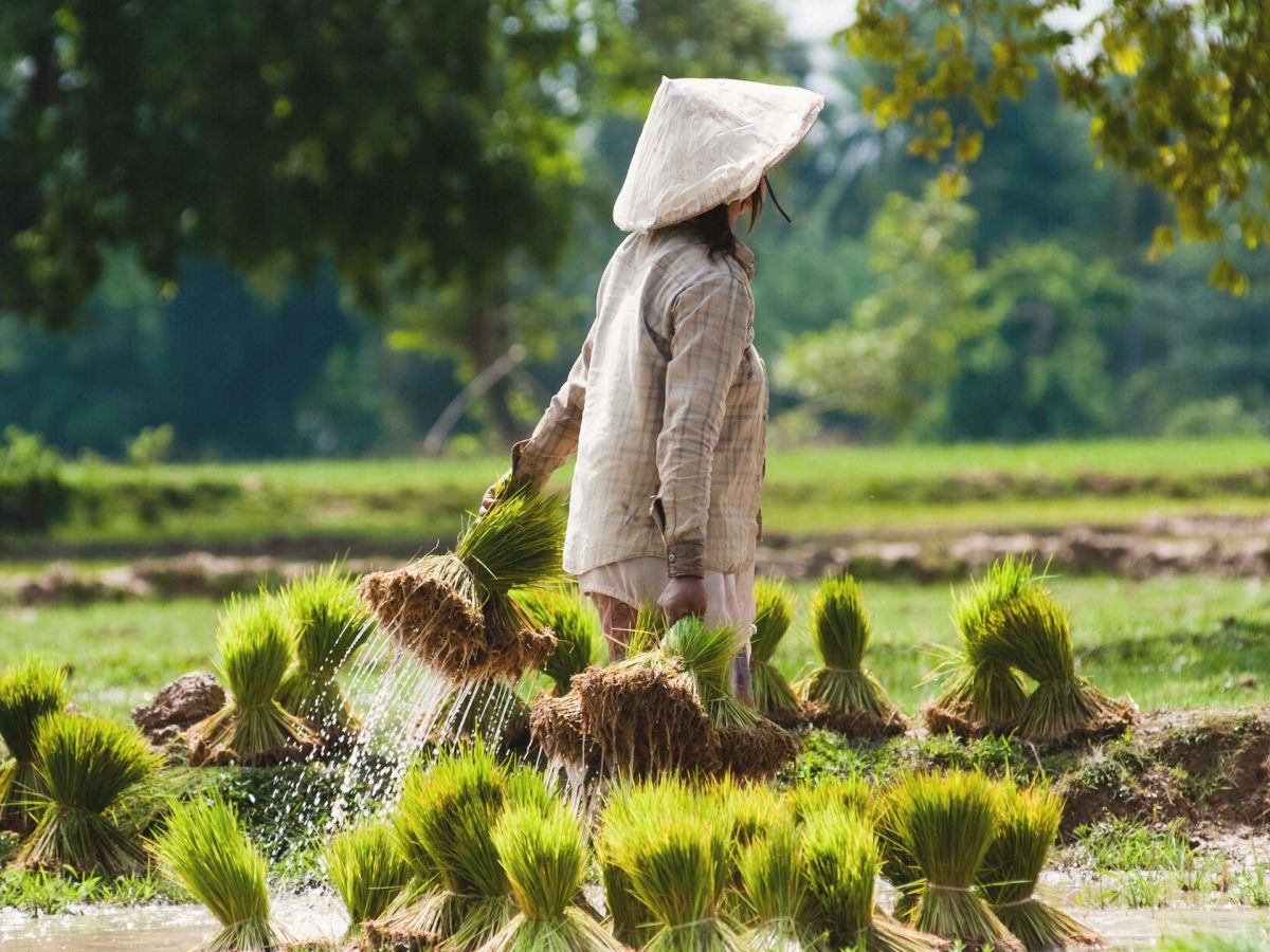 Laut Studie: Die 6 beliebtesten Länder in Asien.