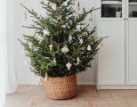 Christbaumschmuck aus Modelliermasse: DIY-Weihnachtsdeko