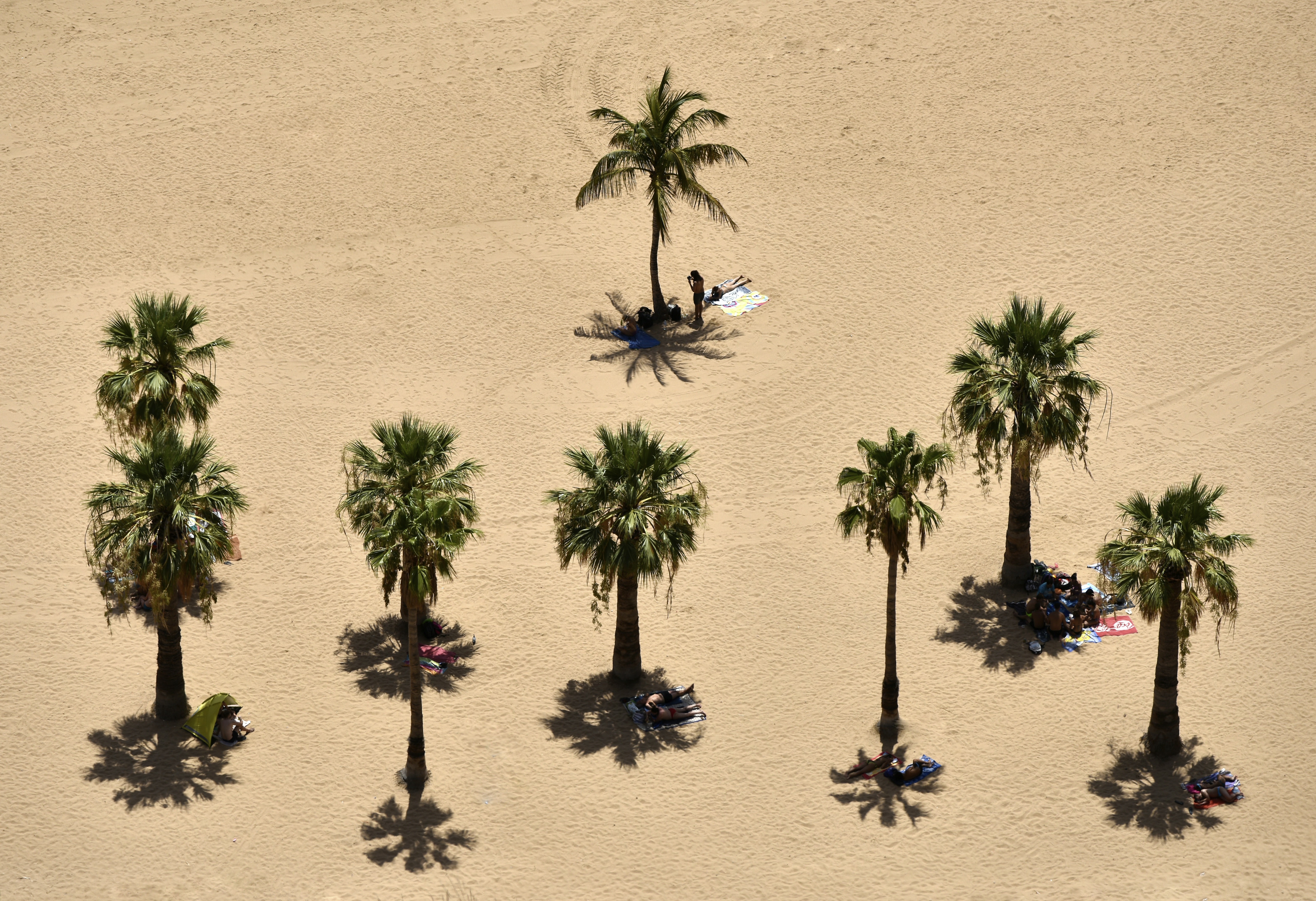 kanaren-urlaub-das-geheimnis-hinter-dem-goldenen-strand