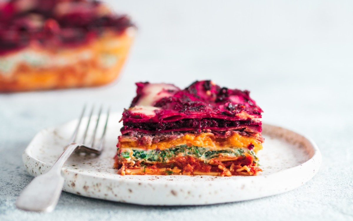 Ein StÃ¼ck vegane Regenbogen-Lasagne auf einem Teller. Der Rest ist im Hintergrund zu sehen.