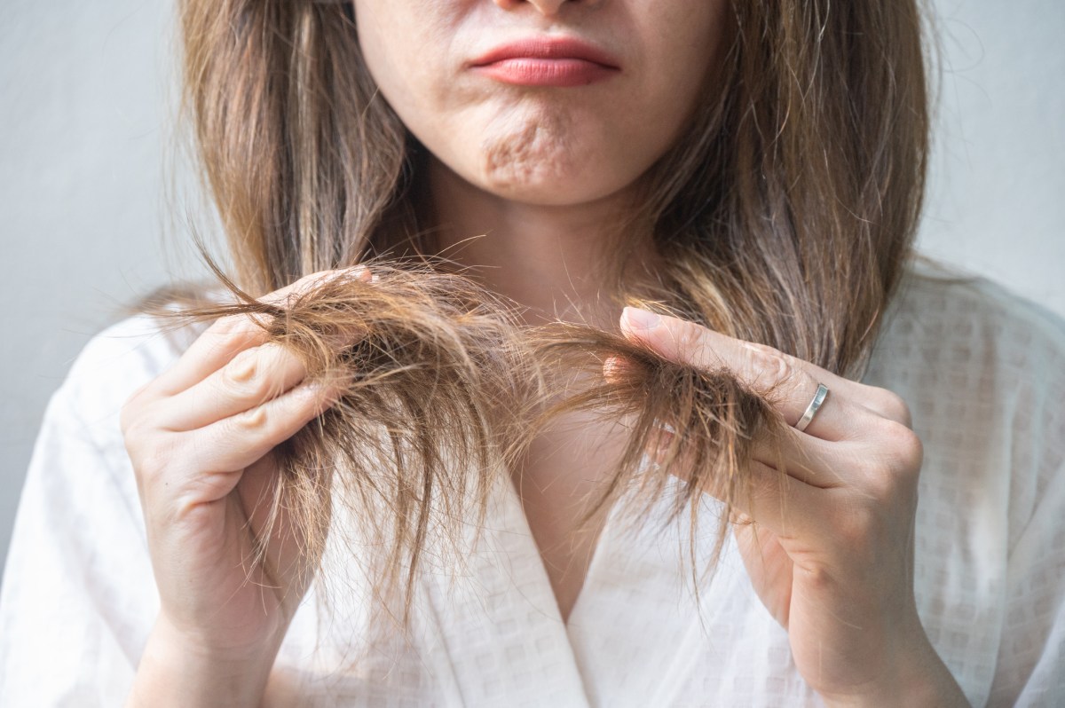 Haarpflege: Kaputte Haare reparieren? Geht das Ã¼berhaupt? Influencer klÃ¤rt Ã¼ber den Mythos auf